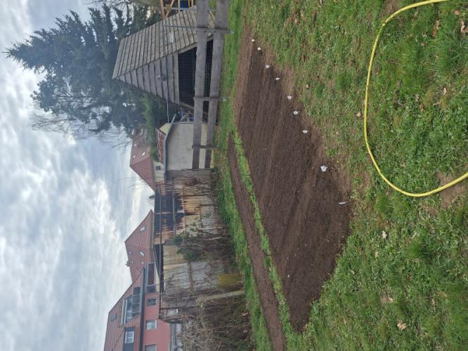 garten.jpg