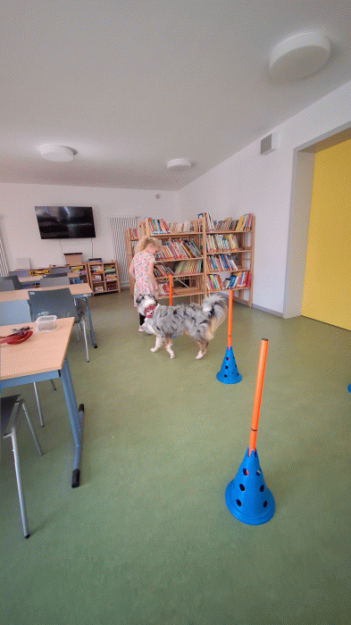 20240513_113127.gif